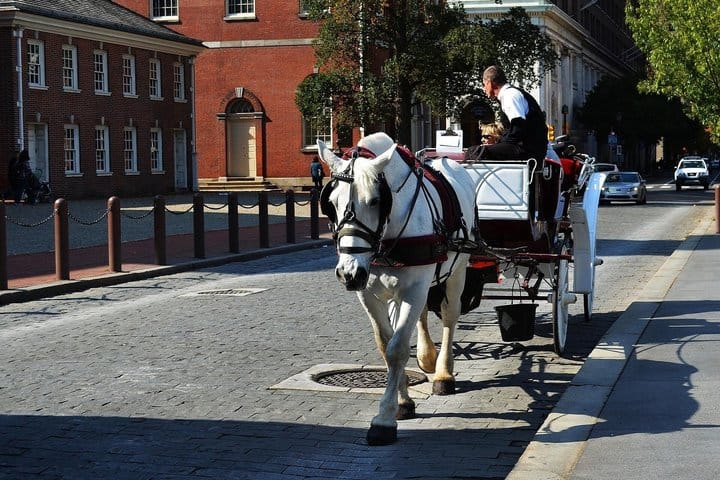 Horse-drawn carriage on a cobblestone Old City street